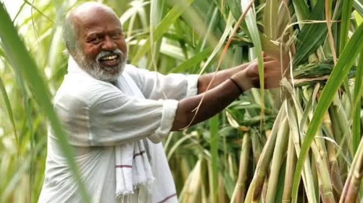 गन्ना किसान