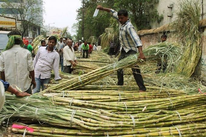 गन्ना किसान